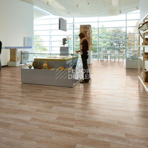 Forbo Eternal Wood 11632 light oak фото 2 | FLOORDEALER